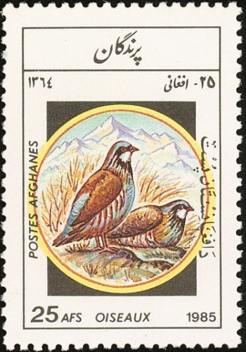 Afganistan-Pheasant-Stamp[1]