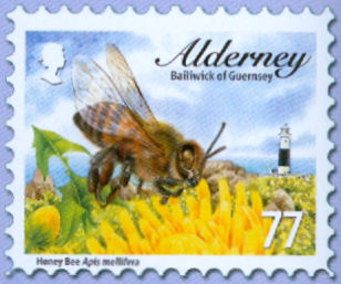 Alderney%202009[1]