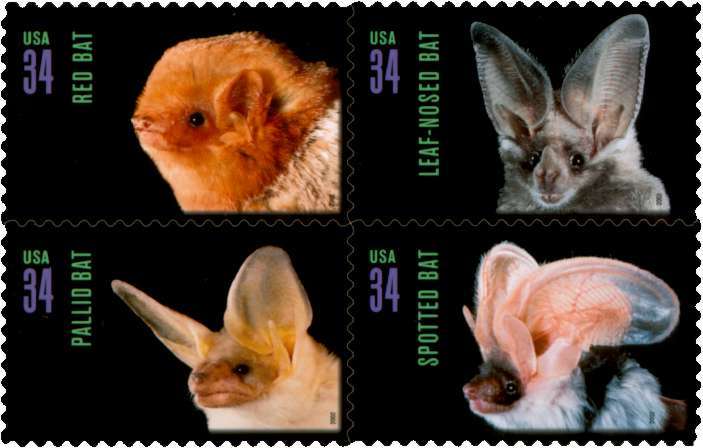 American-Bats-Postage-Stamps[1]