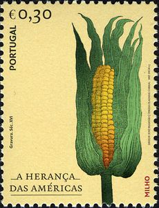American-Heritage---Maize[1]
