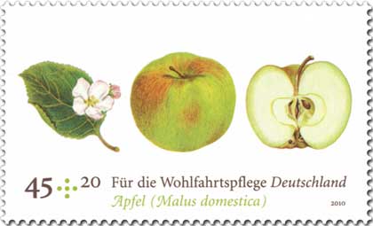 Art-Stamp-Art-German-Fruit-Apple[1]
