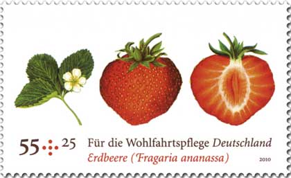 Art-Stamp-Art-German-Fruit-Strawberry[1]