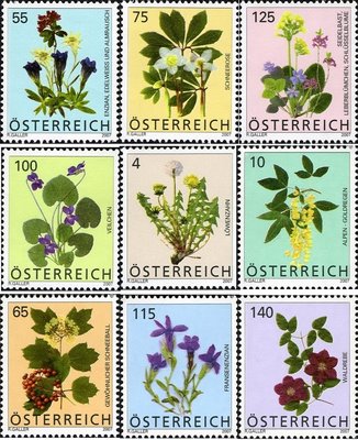 Austria_flowers2007[1]