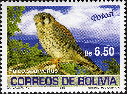 BO033-07[1]
