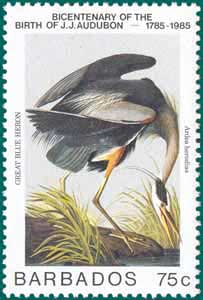 Barbados-1985-Audubon-3[1]