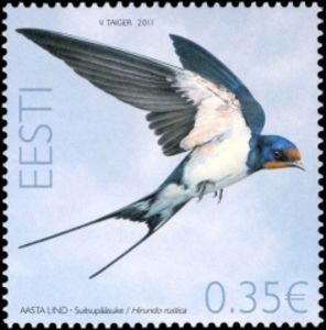 Barn-Swallow-Hirundo-rustica[1]