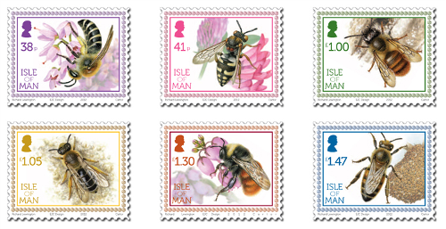 Bee_MintSet[1]