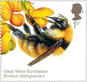 Bees-Great-yellow-Bumblebee-400%-Stamp-620x589