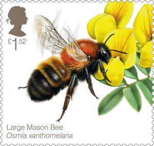 Bees-Large-Mason-Bee-400%-Stamp