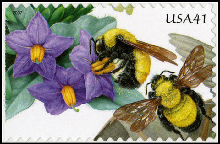 Bees-and-Plants[1]