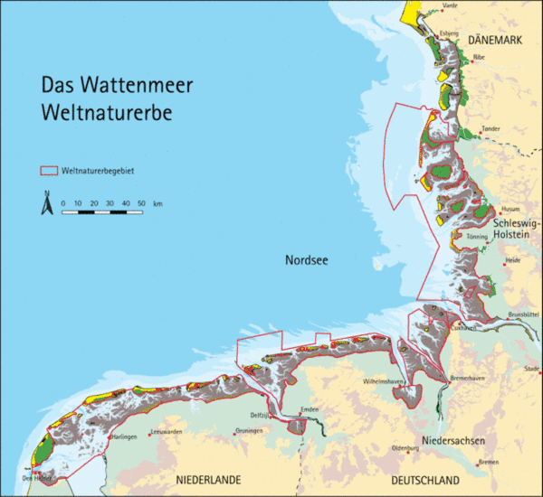 Bild_Wattenmeer