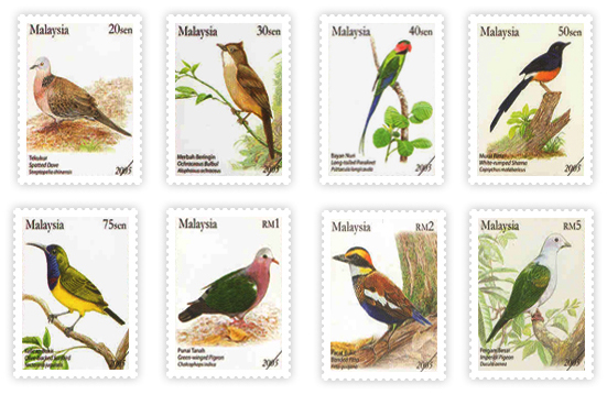 Birds Malaysia
