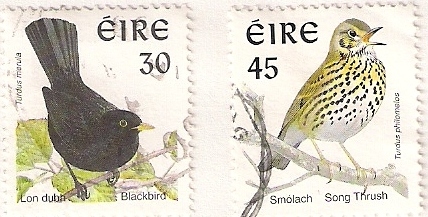 Birds0001[1]