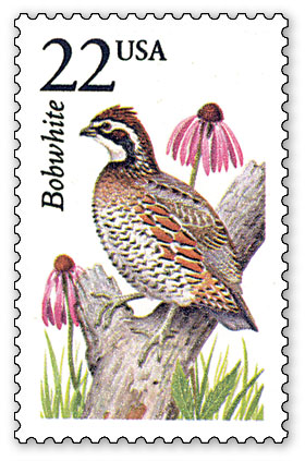 Bobwhite%20Stamp[1]