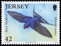 Boerenzwaluw-Jersey-2011[1]