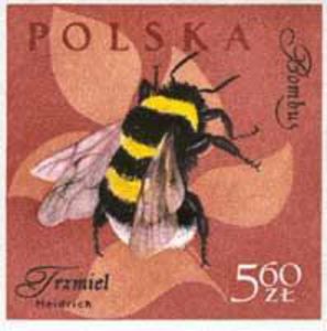 Bumble-bee[1]