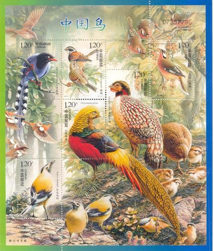 CHINA-BIRD-STAMPS-all-types-of-birds-21237634-426-500