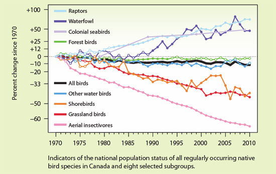 Canada overview_trends