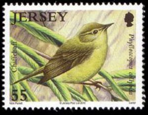 Chiffchaff[1]