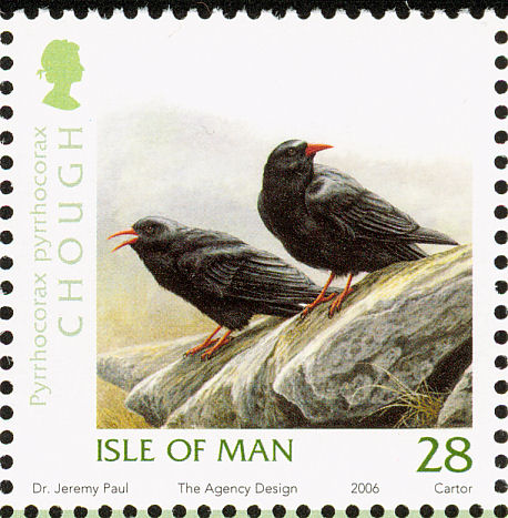 ChoughIoM2[1]