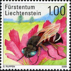 Clepto-parasitic-Bee