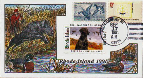 Collins-RI-Duck1