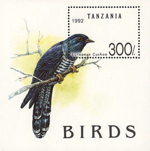 Common-Cuckoo-Cuculus-canorus[1]