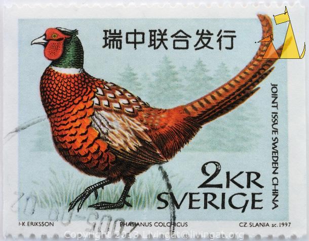 Common_Pheasant_Sverigem_Sweden_stamp_bird_I-K_Eriksson_CZ_Slania_sc_1997_2_kr_Phasianus_colchicus