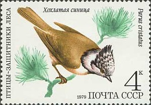 Crested-tit[1]