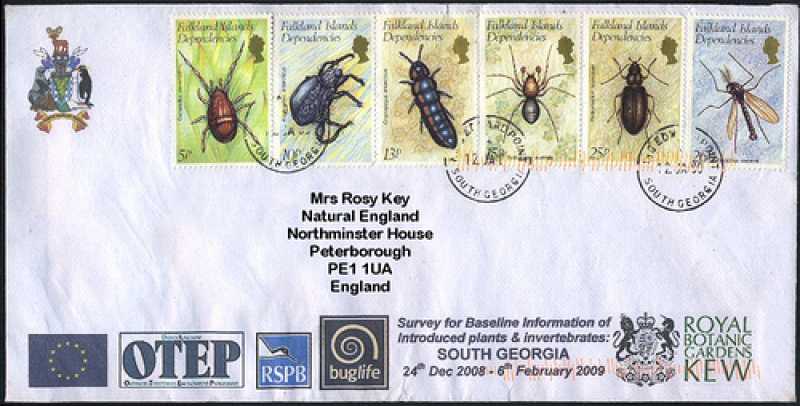 Cryptopygus-antarcticus-20090219-Roger-S-Key-12-jan-2009-South-Georgia-stamps-1982-Falkland[1]