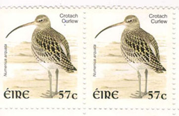 Curlew%20stamp[1]