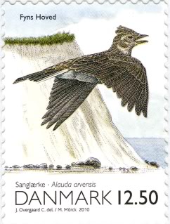 DK00310[1]
