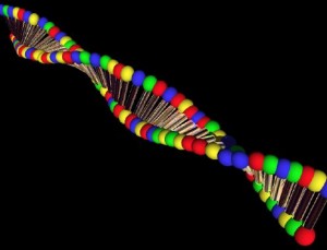 DNA-300x229[1]