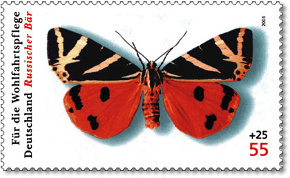 DPAG-2005-Schmetterling-RussischerBaer[1]