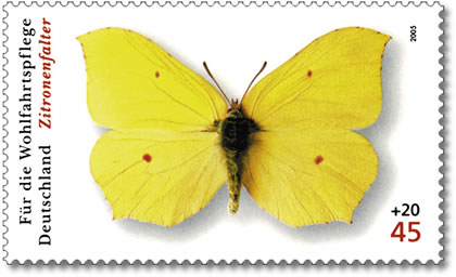 DPAG-2005-Schmetterling-Zitronenfalter[1]