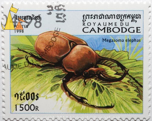 Elephant_beetle_Royaume_du_Cambodia_Cambodia_stamp_insect_Postes_1998_1500_R_Megasoma_elephas