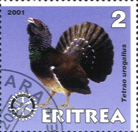 Eritrea2008_html_m29e1f6d[1]