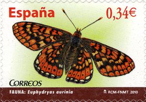 Euphydryas-aurinia[1]