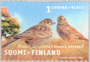 Eurasian-Skylark-Alauda-arvensis