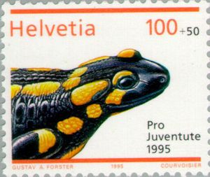 Der Naturschutzbund fordert Schutz für Lippes einziges Feuersalamander-Vorkommen in Leopoldshöhe