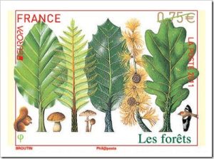 France-IYF-stamp[3][1]