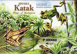 US frogs are facing extinction