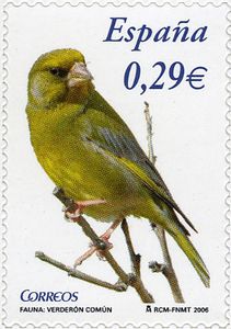 Greenfinch[1]