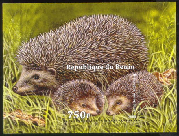 Hedgehog-Stamp-S-Sheet-Benin-2008-MNH[1]