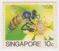 Honey Bee 1985[1]