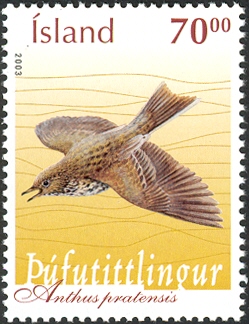 IS017