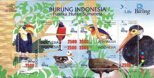 Image-02[14][1]