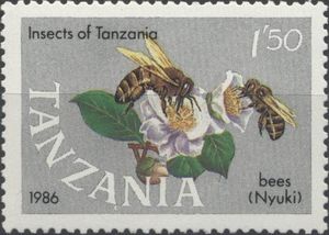 Insects-of-Tanzania--Bees[1]