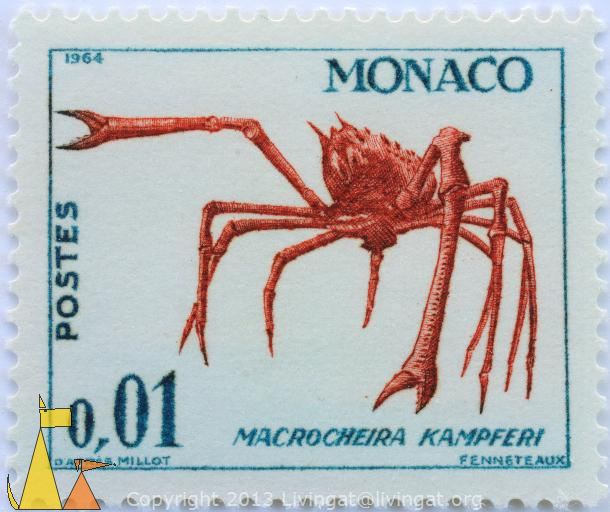 Japanese_spider_crab_Monaco_stamp_0_01_Postes_1964_D_Apres_Millot_Fenneteaux_Macrocheira_kampferi_kaempferi