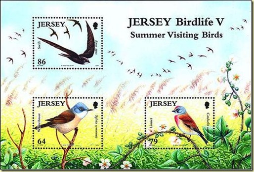Jersey